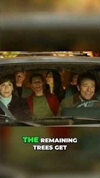 Malcolm in the Middle The Worst Christmas Episode Ever