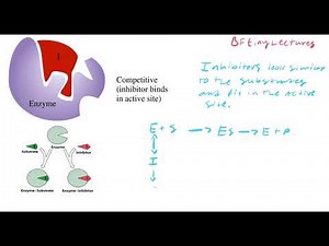 Biochemistry Lecture 11 Inhibitors
