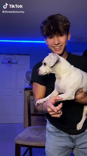 Stubborn Dog Doesn't Listen to Commands