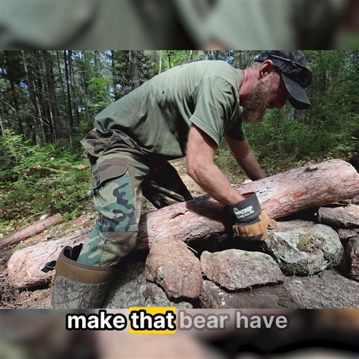 The Wooded Beardsman | Will Bear Proof Food Cache Work? Check Out The West Arm Lodge: https://www.thewestarmlodge.com/ #TheWoodedBeardsman #survival #survival... | Instagram