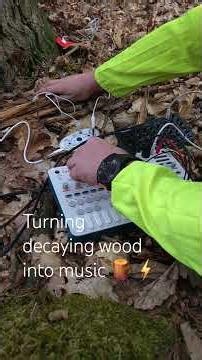 Turning Rotten Logs into Synth Textures