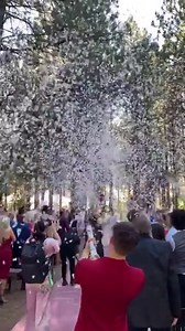 The confetti poppers combined with song choice? 🎊✨ Chef's kiss! 😘 🎥 TikTok: @ChandlerStone_ @WeddingWire on TikTok | WeddingWire