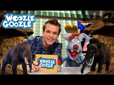 Warum ist das Mammut ausgestorben? l WOOZLE GOOZLE