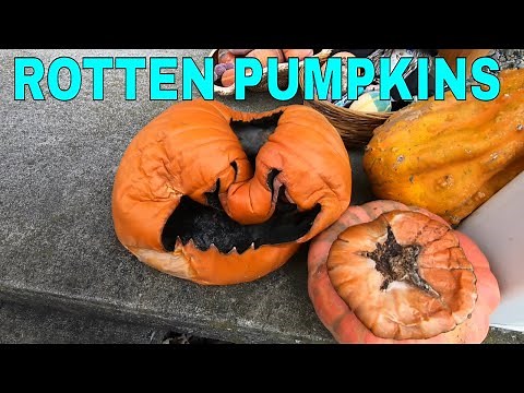 Smashing Our Rotten Pumpkins