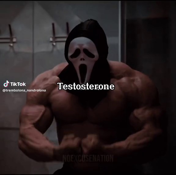 Max Testosterone Gym Motivation Videos