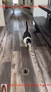 Willow, Cody, & Jasmine Divorce Drama full video.._R_030 #3southern #kristicates #fblifestyle | Jasmine And Dapper