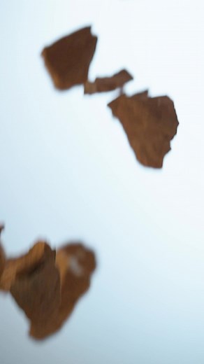 A MIXER GRINDER THAT CAN GRIND BRICKS ?!?! 🧱. Sorry but WE CAN NOT STOP SCREAMING ABOUT IT! 😱 | Philips Home Living