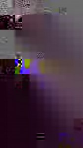 "The time a pregnant 10m whale shark almost whipped me with her tail 😂🐋" Re-shared from guest @thediveplanner. ⤵️ Rotate to watch! 📍Darwin Island, Galapagos Archipelago ⚓ Humboldt Explorer | Explorer Ventures