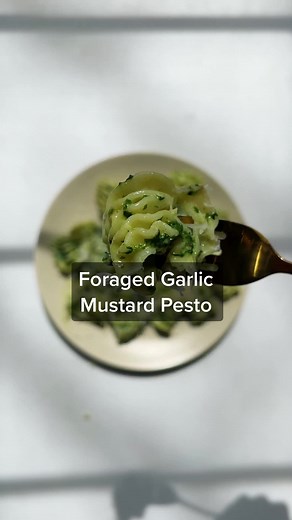 Garlic Mustard Pesto Recipe: Foraged & Easy