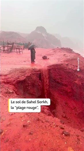 Une plage iranienne devient rouge sang