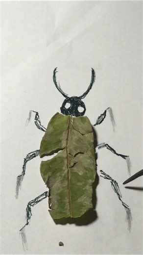 This 3D Insect Looks Real 😱 | Mixed Media Bug Drawing | Art Shorts