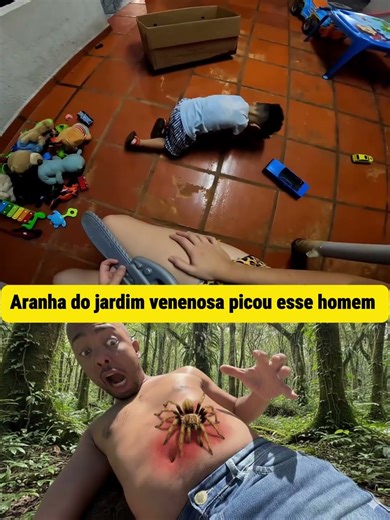 ARANHA VENENOSA PICOU ESSE HOMEM