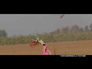 Amazing Head Shot with Shotgun Slug - slow motion study