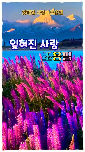 조용필의 애절한 명곡｜잊혀진 사랑