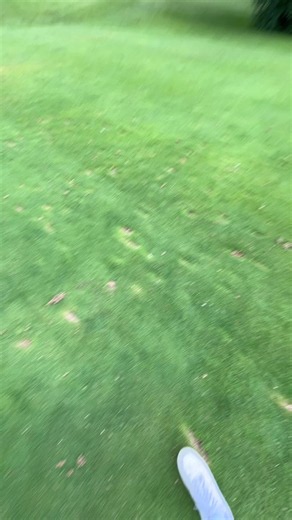 Golf with Friends: Funny Moments on the Course
