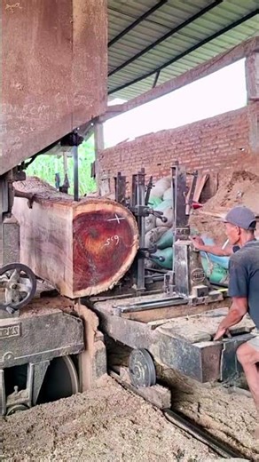 #loglumber #lumber #logsaw