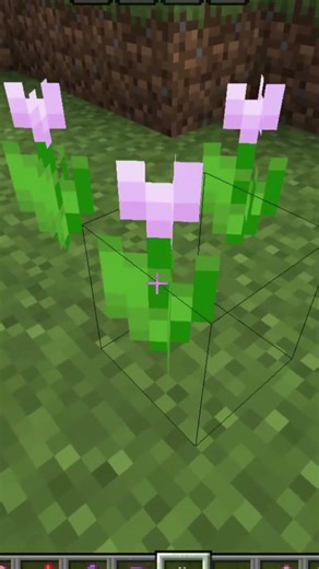 Secret Use Of Pink Dye 🩷 in Minecraft 🤯🤐 #shorts #minecraft