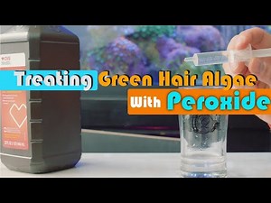 How to Kill Green Hair Algae with Hydrogen Peroxide