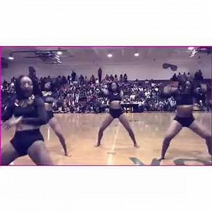 Dancing Stars Elite ( DSE)