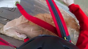 BASE Jumper Slams into Cliff After Pulling Chute, Captures the Whole Fall on Camera