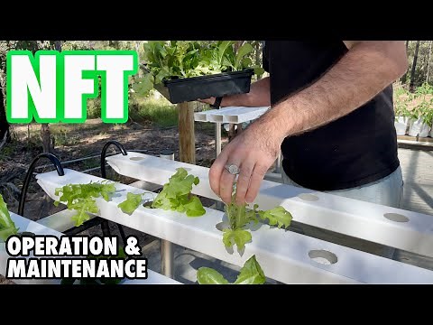 Nutrient Film Technique: Operation and Maintenance