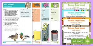 EYFS Pets Science Experiments Resource Pack