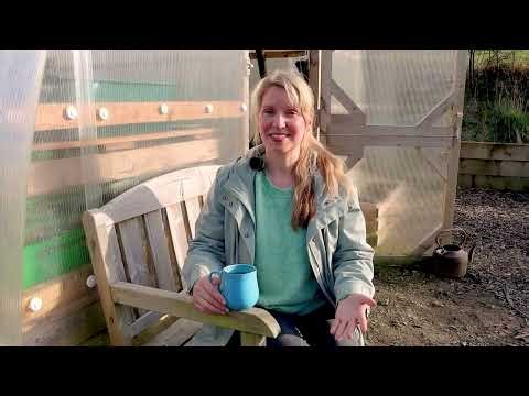 A Bittersweet Update (sorry if this shocks you)