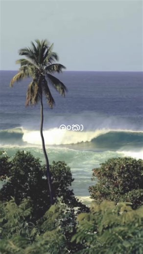 Pre-civil war Sri Lanka was the best #srilanka #oldies #foryoupage #xyzbca #srilankanculture