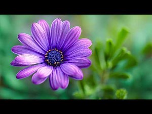 Relaxing Spring Music for Concentration | 3 Hours of Study & Classroom Focus