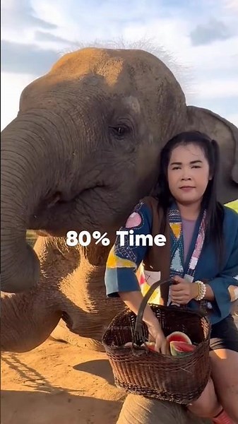 How much does an elephant poop 💩