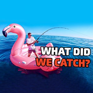 Hooked On Flamingo Fishing: The Ultimate Challenge 🎣🦩 | How Ridiculous