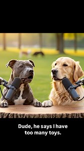 We don’t have as much as you do 🧰⚙️🔨🛠️⚒️ | We are good pets