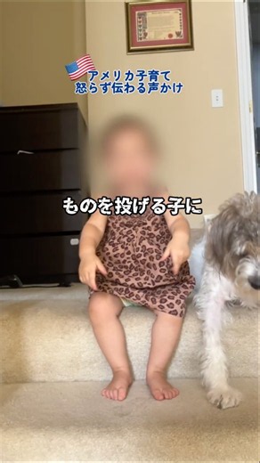 🇺🇸アメリカ子育ていいとこ取り ものを投げる子 NG対応５選 #1歳児育児 #イヤイヤ期対策 #子育ての悩み