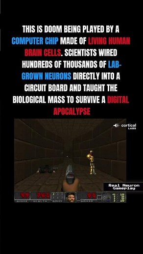The Microchip Made of Living Brain Cells