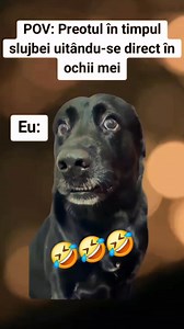 10K reactions · 2.2K shares | SE SIMTE CAREVA CU MUSCA PE CĂCIULĂ?  #romania #preot | Vânătorii De Comori | Facebook