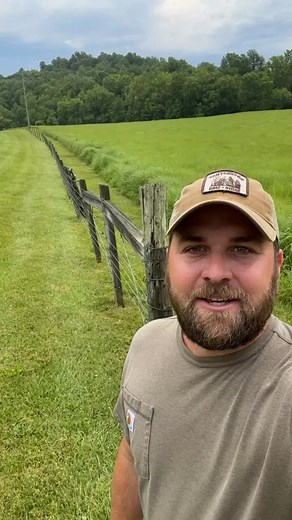 This is a monoculture of Big Bluestem used for seed production. Our grasslands should be full of forbs, sedges, and other grasses. Biodiversity creates healthy grasslands! #nativehabitatproject #nativegrasses #beef #grasslands #prairies #conservation