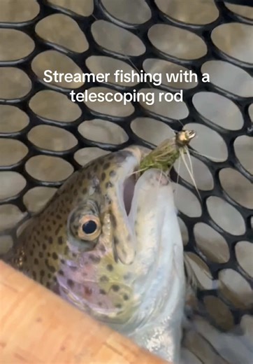 Throw it in your waders, your backpack, or where ever else you want to store it. It’s a travel rod i didn’t know i needed, until i used it. #flyfishing #fishing #reyrgear @REYRgear