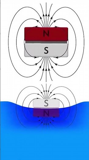 Surprising Response Of The Water To Magnets.