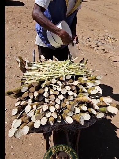 Kwanza Miwa Ya Katikati😁 - Exploring Togzik Sounds