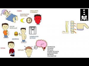 BRUCELLA, brucellosis