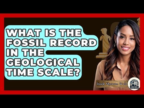 What Is The Fossil Record In The Geological Time Scale? - Inside Museum Walls