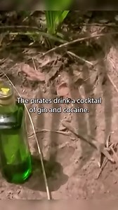 Modern pirates of the Africa coast