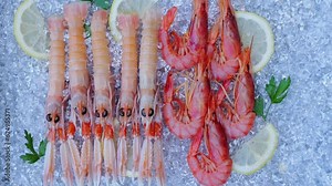 Fresh Scampi (Nephrops Norvegicus) Langoustines, Red Shrimps. Prawns. Top view. Seafood On Crashed Ice