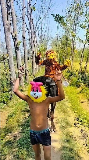 jungle ke raja 💥💥💥👲👲👲🧙#mata #sherawali #chandidevi #kalka #jhanki #shorts 267