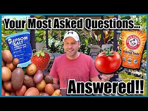 Epsom Salt for Plants and Other Gardening Questions Answered! Garden Tips and Myths.