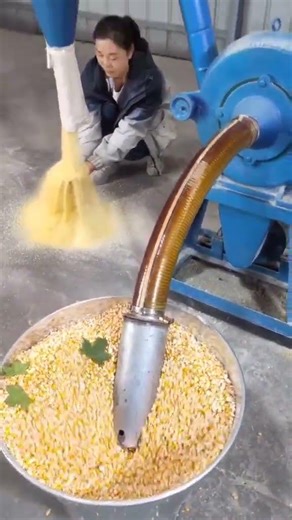 #fcnfm The Benefits of Cracked Grains for Livestock Health