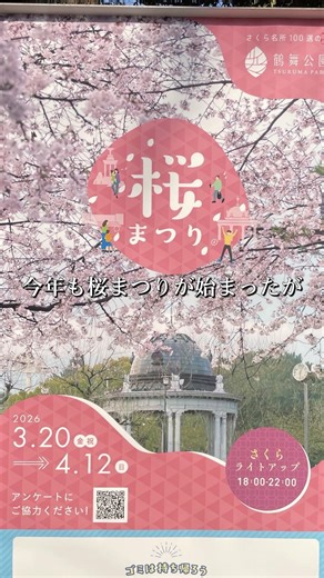 The cherry blossom festival has started at Tsurumai Park, a famous cherry blossom viewing spot in...
