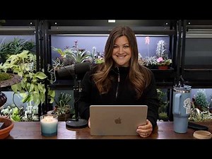 Any Plants that You Have Given Up On? // Which Boxwoods are Coming out? // Recap 🌿