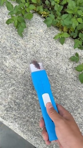 Bug-Catching Tool #shortsvideo