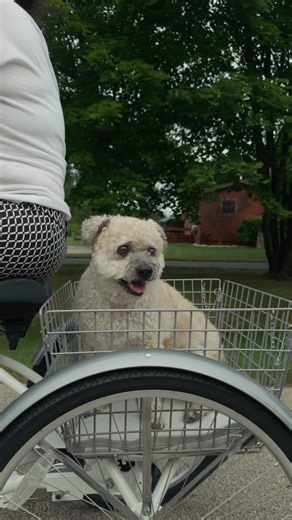 Anita Duray and her dog are riding into the weekend with good vibes and clear direction. Finding your dream home is just like a great ride and it is all about having the right guide by your side. Let Anita help you get where you’re going. #AnitaDuray #Castlerockrealty #bikelife #homegoals #realestatetips